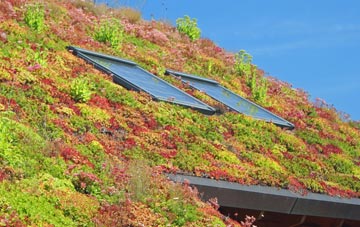 Wilsden living roof systems
